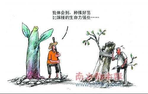 企业选才如挑种子 价值观匹配胜过技能培养(图1)