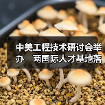 中美工程技术研讨会举办　两国际人才基地落户榕（图4）