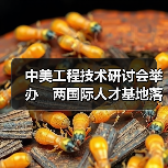 中美工程技术研讨会举办　两国际人才基地落户榕（图3）
