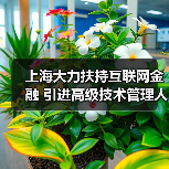 上海大力扶持互联网金融 引进高级技术管理人才（图1）