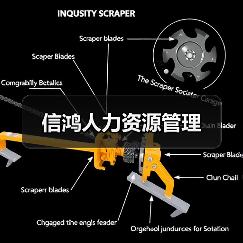信鸿人力资源管理（图4）