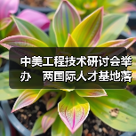 中美工程技术研讨会举办　两国际人才基地落户榕（图2）