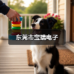 东莞市宝瑞电子（图3）