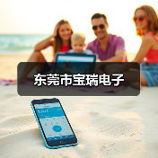 东莞市宝瑞电子（图4）