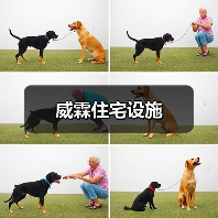威霖住宅设施(图4) 威霖住宅设施(图4)