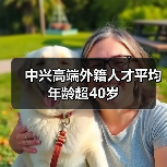 中兴高端外籍人才平均年龄超40岁（图3）