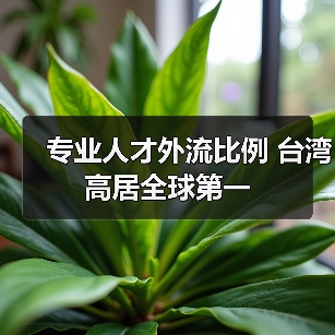 专业人才外流比例 台湾高居全球第一（图3）