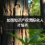 加强知识产权国际化人才培养（图4）