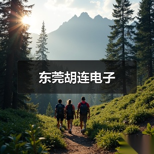 东莞胡连电子（图1）