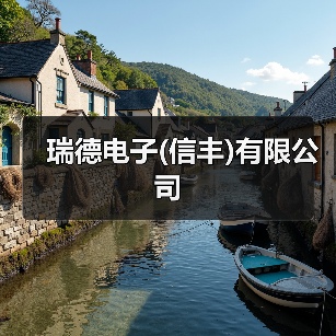 瑞德电子(信丰)有限公司（图2）