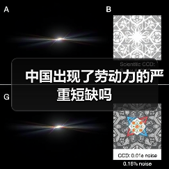 中国出现了劳动力的严重短缺吗（图4）