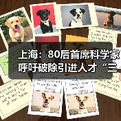 上海：80后首席科学家呼吁破除引进人才“三高症”（图1）