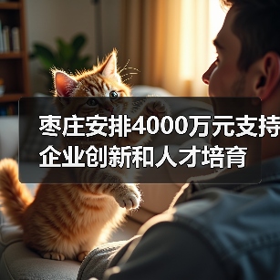 枣庄安排4000万元支持企业创新和人才培育（图2）