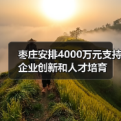 枣庄安排4000万元支持企业创新和人才培育（图4）