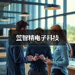 笠智精电子科技（图3）