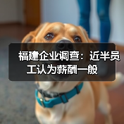 福建企业调查：近半员工认为薪酬一般（图3）