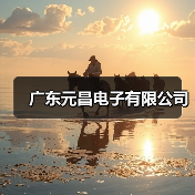 广东元昌电子有限公司（图2）