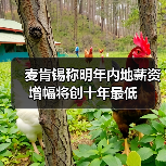 麦肯锡称明年内地薪资增幅将创十年最低（图4）