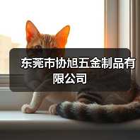 东莞市协旭五金制品有限公司（图3）