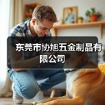 东莞市协旭五金制品有限公司（图2）