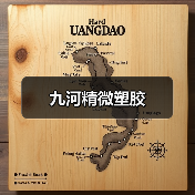九河精微塑胶（图1）