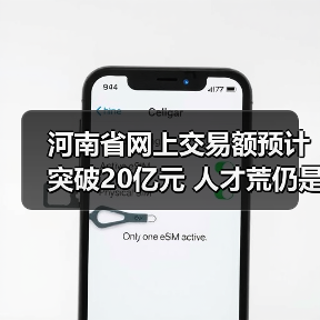 河南省网上交易额预计突破20亿元 人才荒仍是突出问题（图2）