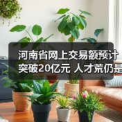 河南省网上交易额预计突破20亿元 人才荒仍是突出问题（图3）