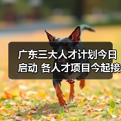 广东三大人才计划今日启动 各人才项目今起接受申报（图2）