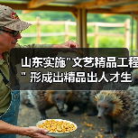 山东实施