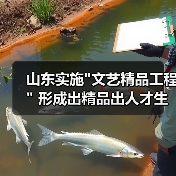 山东实施