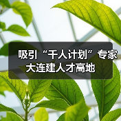 吸引“千人计划”专家大连建人才高地（图1）