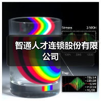 智通人才连锁股份有限公司（图1）