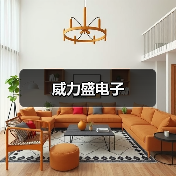 威力盛电子（图1）