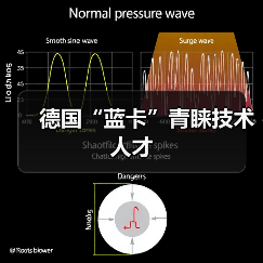 德国“蓝卡”青睐技术人才（图4）