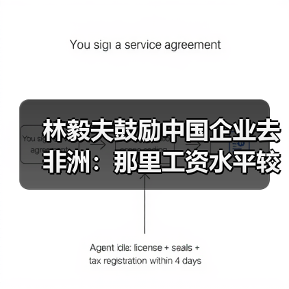 林毅夫鼓励中国企业去非洲：那里工资水平较低（图4）