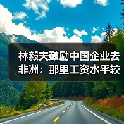 林毅夫鼓励中国企业去非洲：那里工资水平较低（图1）
