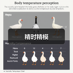 精时精模（图1）