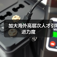 加大海外高层次人才引进力度（图4）