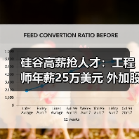 硅谷高薪抢人才：工程师年薪25万美元 外加股权（图4）