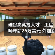 硅谷高薪抢人才：工程师年薪25万美元 外加股权（图2）