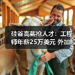 硅谷高薪抢人才：工程师年薪25万美元 外加股权（图3）