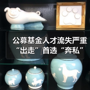 公募基金人才流失严重 “出走”首选“奔私”（图3）