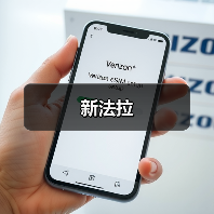 新法拉（图4）