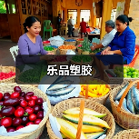 乐品塑胶（图2）