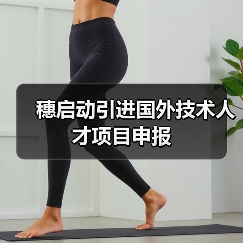 穗启动引进国外技术人才项目申报(图4) 穗启动引进国外技术人才项目申报(图4)