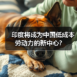 印度将成为中国低成本劳动力的新中心?(图1) 印度将成为中国低成本劳动力的新中心?(图1)