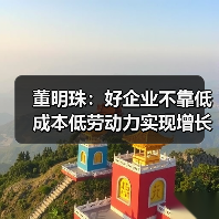 董明珠：好企业不靠低成本低劳动力实现增长（图4）
