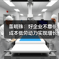 董明珠：好企业不靠低成本低劳动力实现增长（图3）