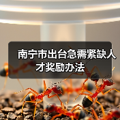 南宁市出台急需紧缺人才奖励办法（图2）