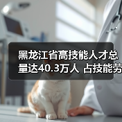 黑龙江省高技能人才总量达40.3万人 占技能劳动者比例（图3）